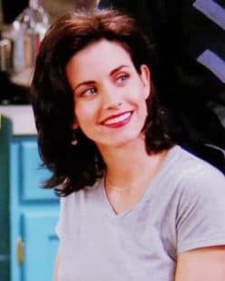 Monica Geller Friends Paint By Numbers