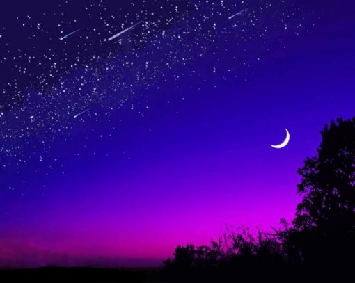 Moon Purple Sky paint by number