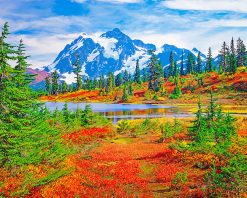 Mount Baker Washington paint by number