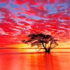 Nudgee Beach Sunrise Australia Paint by numbers