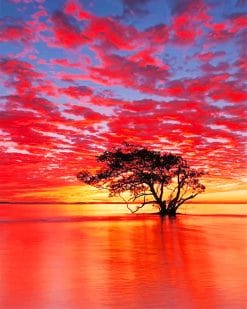 Nudgee Beach Sunrise Australia Paint by numbers