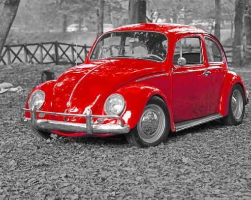 Old Red Beetle Car paint by number