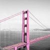 pink Golden Gate bridge paint by numbers