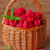 raspberries fruit in basket adult paint by number