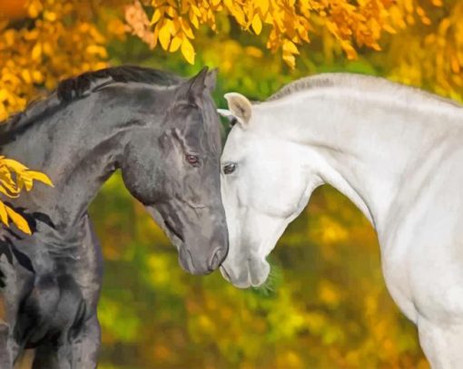 Romantic Black and White Horses paint by numbers