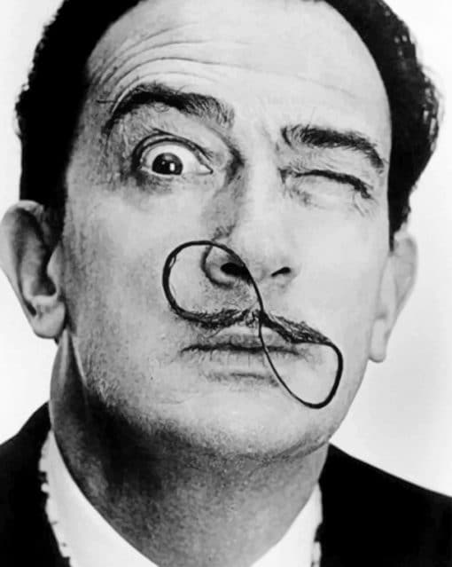 Salvador Dali Infinity Mustache paint by numbers