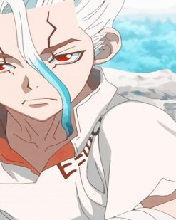 Senku Ishigami dr Stone paint by numbers