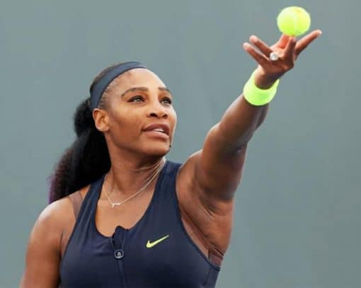 Serena Williams Tennis Player Paint By Numbers