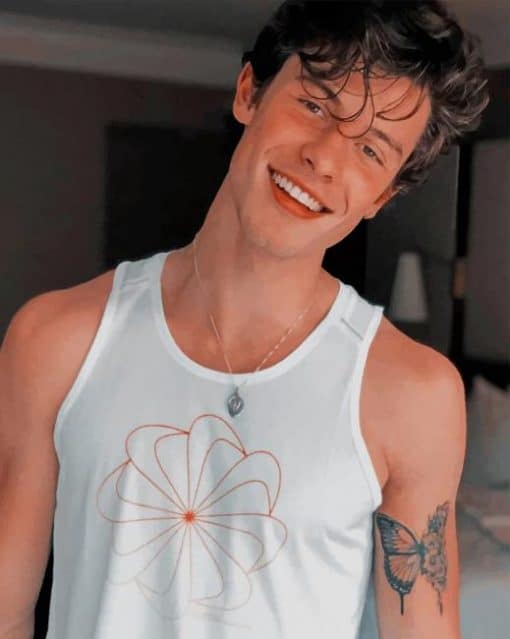 Shawn Mendes Back Tattoo paint by numbers