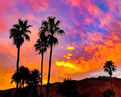 Sunset Palm Spring paint by number