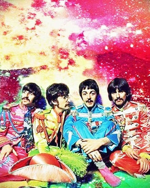 the colorful beatles adult paint by numbers