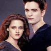 The Famous Couple Bella and Edward paint by numbers