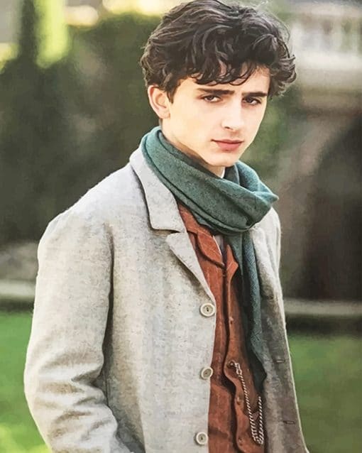 Timothee In Little Woman paint by number