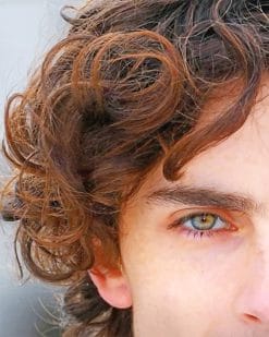 Timothee Chalamet Eye paint by number