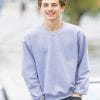 Timothée Chalamet wearing Grey paint By Numbers