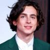 Timothee Chalamet With Green Suit paint by numbers