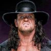 Undertaker WWE Paint By Numbers