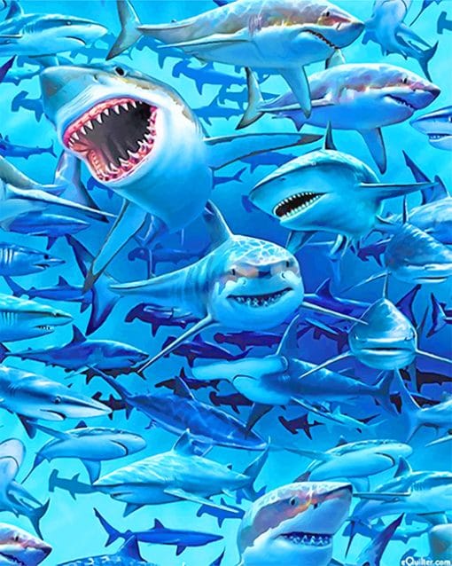 White Sharks Frenzy Beach paint by number