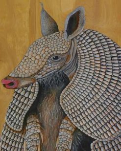 Armadillo Animal paint by numbers