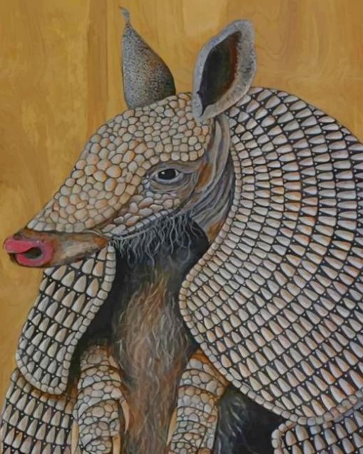 Armadillo Animal paint by numbers