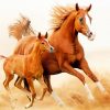 Baby And Mom Stallion Horse paint by number