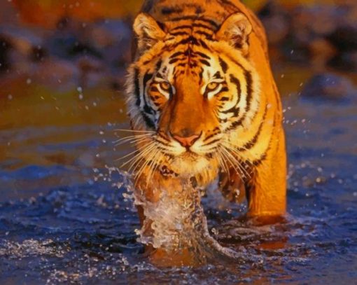 Bengal Tiger In Water paint by number