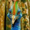 Cassowaries Bird paint by numbers