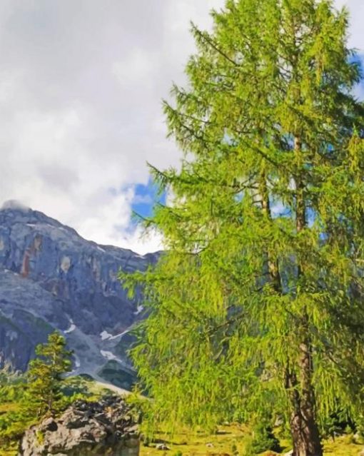 The European Larch Trees paint by numbers