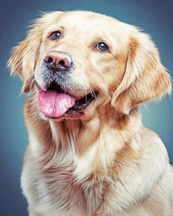 Golden Retriever paint by numbers