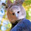 Harpy Eagle Face paint by numbers