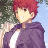 Shirou Emiya Character Fate Stay paint by numbers