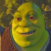 Shrek Cartoon Animation paint by numbers