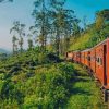 Sri Lanka Train Scenery paint by numbers