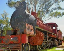 Steam Train Scenery Paint by numbers