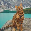 The Bengal Cat paint by numbers