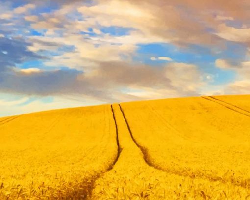 Wheat Field Landscape Farm paint by numbers