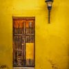 Wood Door And Yellow Wall paint by numbers