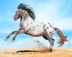 Amazing Horse In Beach paint by number