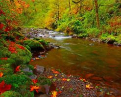 Autumn River Landscape paint by number