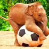 Baby Elephant Playing Football paint by number