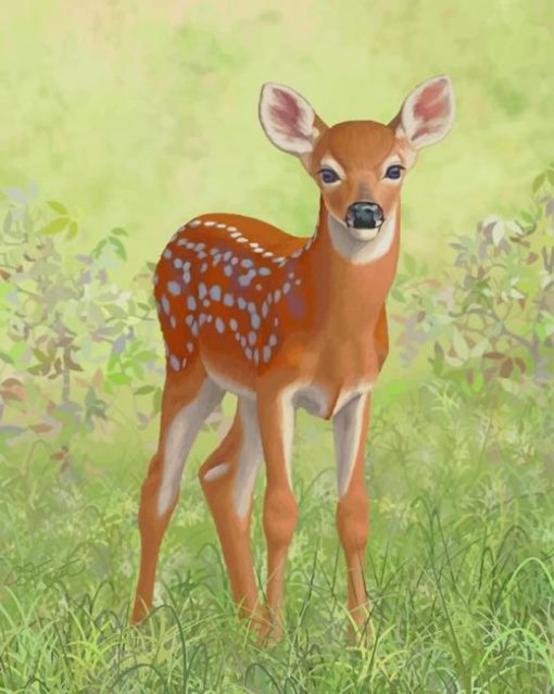 Baby White Tail Deer paint by numbers