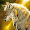 Beautifu Gold Wolf paint by numbers