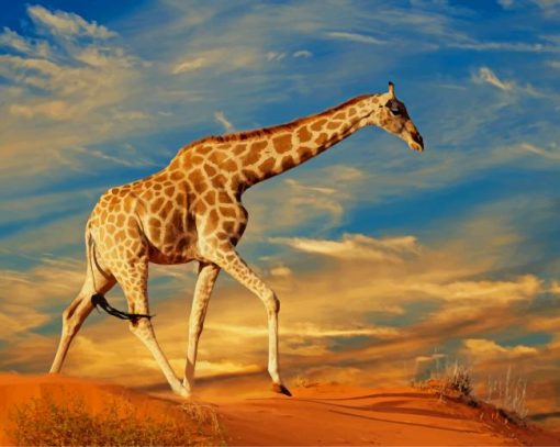 Beautiful Giraffe paint by number