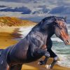 Black Horse On The Beach paint by number