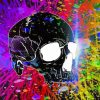 Black Skull Colorful Art paint by number