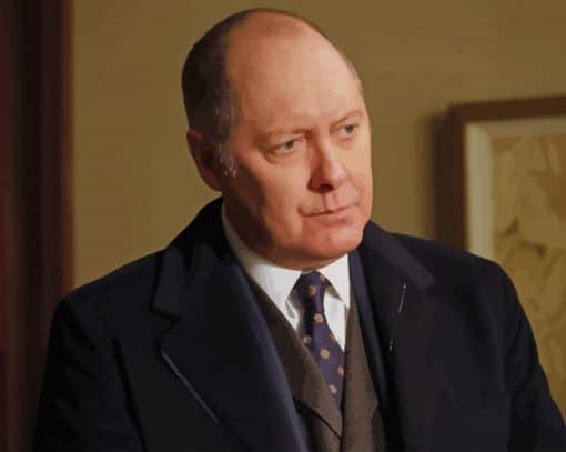 Blacklist James Spader paint by numbers