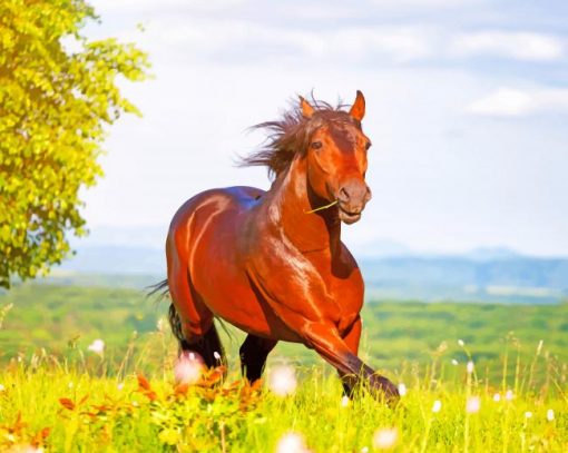 Brown Horse In Nature paint by number