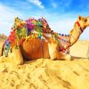 Camel And Sand paint by number