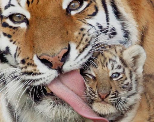 Caring Tiger Mom paint by number