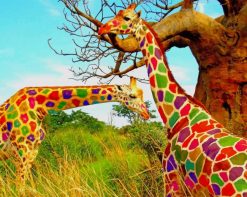 Cool Colorful Giraffes paint by number